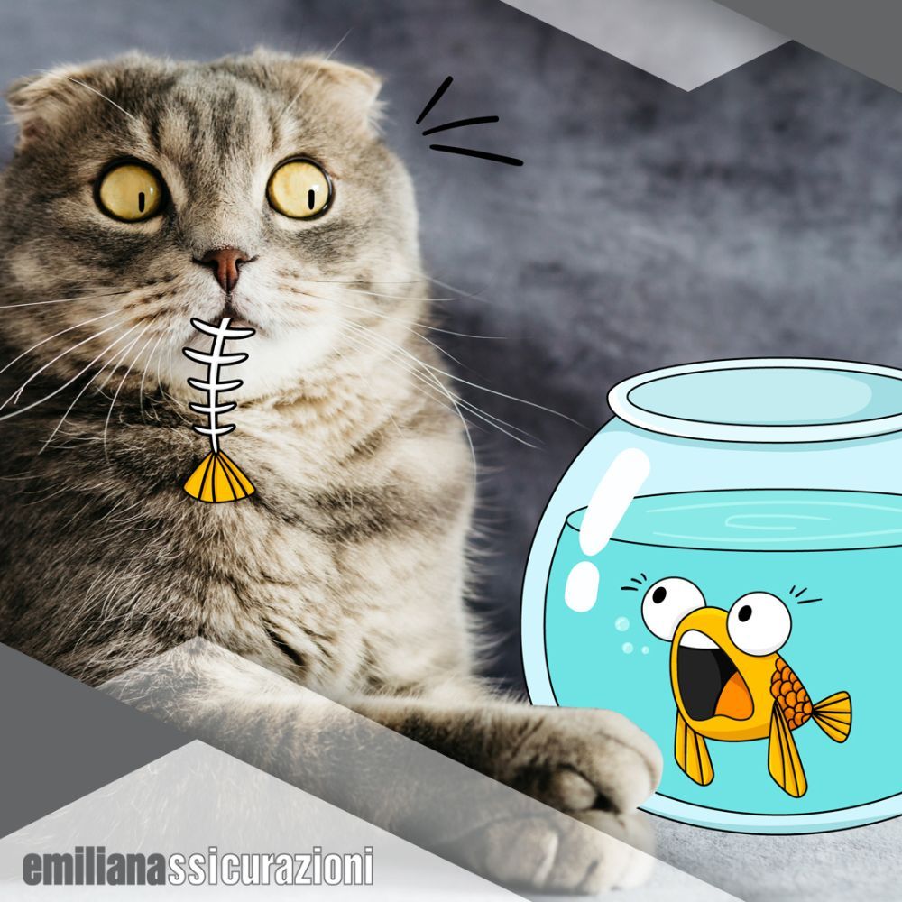 Pesce d'Aprile? No,  polizza Cane&gatto 